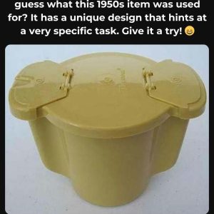 Do You Remember This Cherished Classic? If You Do, Let’s Dive Into the Past and Discover the Remarkable Journey That Made It Essential