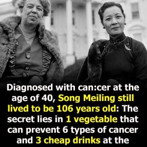 A Legacy Of Health: Soong Mei-Ling’s Longevity And Struggle Against Cancer