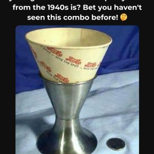 Do You Remember This Icon of Traditional Home Life? If You Do, Rediscover the Memories – Explore the Story Behind Its Popularity!