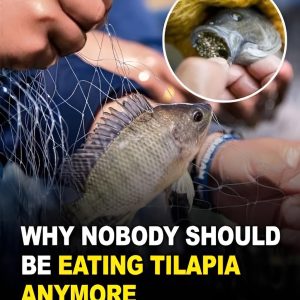 Still eating tilapia? You might want to think twice