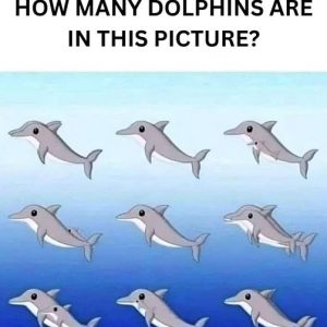 How many dolphins can you spot in the picture? How many dolphins can you spot in the picture?