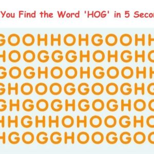 Can You Find the Word ‘Hog’ in 5 Seconds? Don’t Let Your Eyes Trick You! Can You Find the Word ‘Hog’ in 5 Seconds? Don’t Let Your Eyes Trick You!