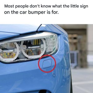 This small panel on the front bumper of the car