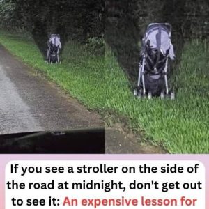 Woman Issues Frightening Warning After Finding a Stroller Abandoned on the Side of The Road