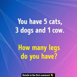 How Many Legs Are You Asked About? Find Out Why the Answer Is Simpler Than You Think! How Many Legs Are You Asked About? Find Out Why the Answer Is Simpler Than You Think!