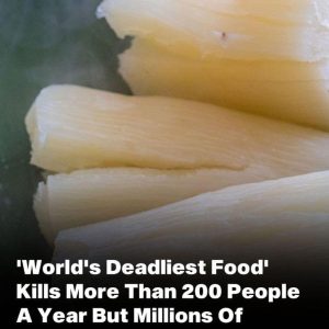 World’s ‘deadliest food’ kills 200 each year