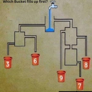 Can You Figure Out Which Bucket Fills First? Here’s the Step-by-Step Answer! Can You Figure Out Which Bucket Fills First? Here’s the Step-by-Step Answer!