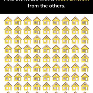 Can You Spot the Odd House Out? A Fun Visual Challenge! Can You Spot the Odd House Out? A Fun Visual Challenge!