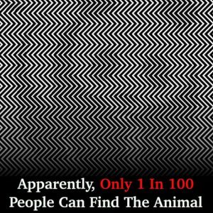 Think You Have Sharp Eyes? Find the Animal That’s Fooling Everyone Think You Have Sharp Eyes? Find the Animal That’s Fooling Everyone