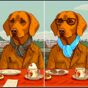 Find all 8 subtle differences between these two images before time runs out!