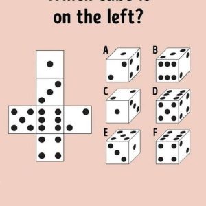 Mind-Bending Cube Puzzle: Can You Find the Right Match Mind-Bending Cube Puzzle: Can You Find the Right Match