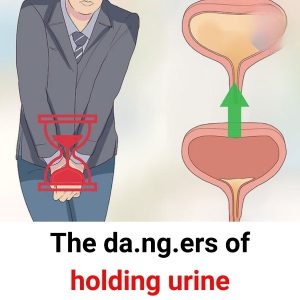 Those who often hold their p.e.e should stop this action immediately, this is reason