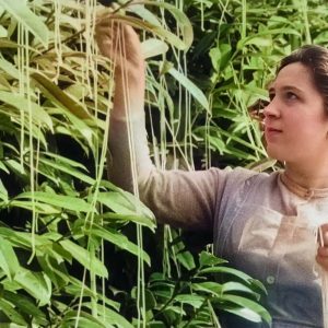 The Spaghetti Tree Hoax: Inside the 1957 BBC’s April Fools Joke That Caused A Nationwide Uproar