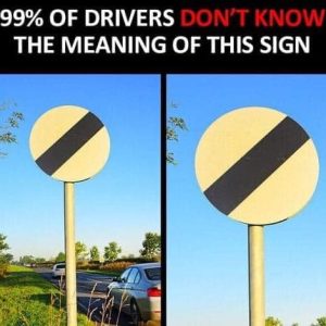 Think ignoring a traffic sign is no big deal? You won’t believe what could happen next! Brace yourself for a shocking reveal!