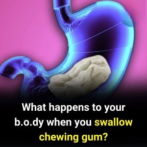 Is Swallowing Chewing Gum Really Dangerous? The Shocking Truth Revealed!