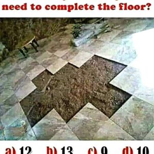 The Tile Puzzle That’s Breaking the Internet: Can You Guess the Correct Number of Tiles?