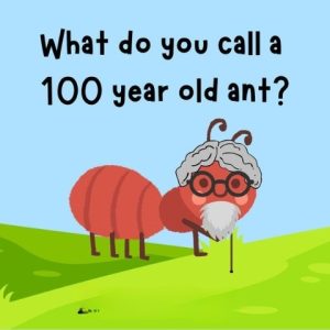 What Do You Call a 100-Year-Old Ant? The Clever Answer Will Leave You Speechless!