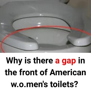 A gap in the front of American w.o.men’s toilets
