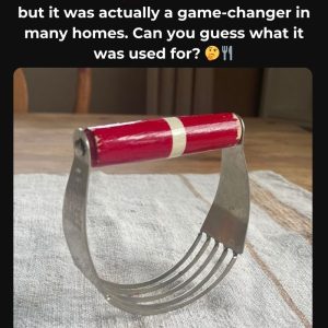 Do You Remember This Iconic Item? If It’s Nostalgic, Let’s Explore the Significance It Held in the Past!