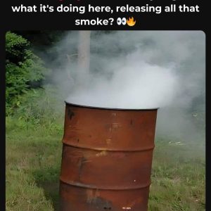 Ever Seen This Before? If You’re Old Enough, You’ll Know It Was More Than Just a Utility—Here’s Why