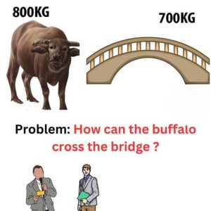 How can the buffalo cross the bridge? How can the buffalo cross the bridge?