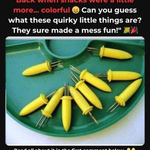 Who Else Recalls This Iconic Item? If You Do, You’ve Lived Through An Era Of Imagination! Learn The Untold Story Of Its Rise To Fame! 