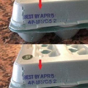 Understanding The Secret Meanings Behind The Codes On Your Egg Cartons
