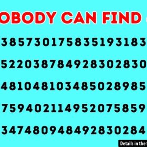 Find the Hidden Number 6 That’s Fooling Everyone – Are You Up for the Challenge? Find the Hidden Number 6 That’s Fooling Everyone – Are You Up for the Challenge?