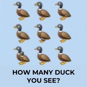 How many ducks are in the picture? The viral challenge sweeping the internet, explained How many ducks are in the picture? The viral challenge sweeping the internet, explained