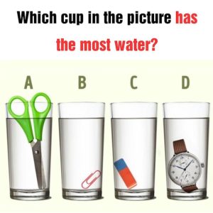 Which Glass Holds the Most Water? Few Get It Wrong, But Will You? Which Glass Holds the Most Water? Few Get It Wrong, But Will You?