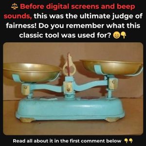 Do You Recall This Old Favorite? It Was a Household Essential Back Then! Explore the History Behind It!