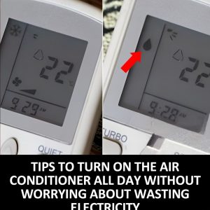 Not everyone knows. Tips to Keep Your Air Conditioner Running Efficiently Without Breaking the Bank