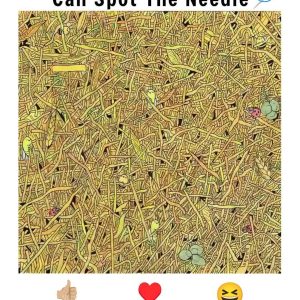 The Needle in the Haystack Challenge: A Visual Test for Sharp Minds The Needle in the Haystack Challenge: A Visual Test for Sharp Minds