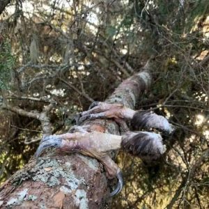 What Happens When Nature Defies Expectations… What Happens When Nature Defies Expectations…