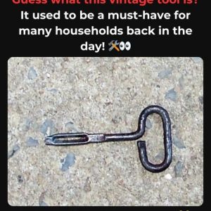 Who Else Had One of These in Their Kitchen? If You Do, You’ve Known the Secret to Effortless Canned Fish! Discover the Fascinating Story Behind This Tool!