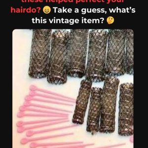 Can You Recognize This Iconic Household Tool? If You Do, You’ve Known the Secret to Glamorous Styles! Let’s Uncover Its History!
