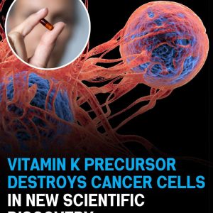 Vitamin K Precursor Found to Target and Destroy Cancer Cells in Latest Research