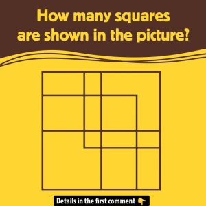 Can You Count All the Squares? Test Your Attention to Detail Now! Can You Count All the Squares? Test Your Attention to Detail Now!