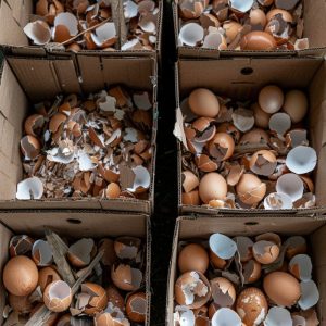 You are doing it all wrong. Here’s the right way to use eggshells