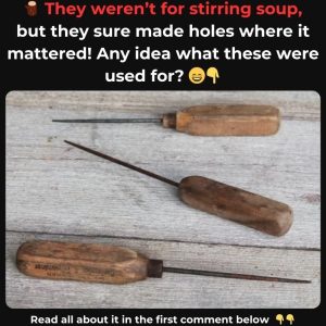 Have You Seen This Classic Item? If You Do, You’re Probably Nostalgic—Take a Trip Back in Time and Learn How It Helped Manage Ice Before Freezers