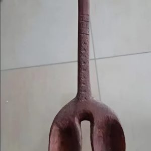 What on Earth Is This Thing?