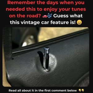 Do You Still Own This Timeless Item? If You Do, You’ve Kept a Piece of Practical History! Let’s Discover Its Purpose and Popularity!