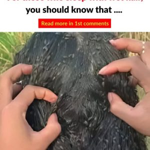 5 Common Myths About Sleeping With Wet Hair