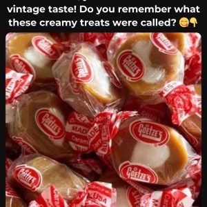 Can You Recall This Item? It Was Everywhere in Its Time! Discover Why It Was a Must-Have Back in the Day