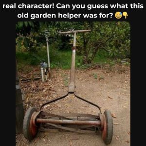 Do You Recognize This Piece of History? If You Do, You’ve Experienced the Simplicity and Functionality of This Classic Lawn Mower—Learn the Story Behind It!