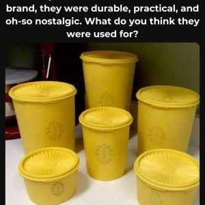 Do You Remember This Iconic Item? If You’re Old Enough, You Definitely Recognize It—Discover the Fascinating History Behind It!