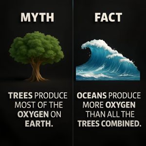 What If We Told You Trees Aren’t Earth’s Biggest Oxygen Source?