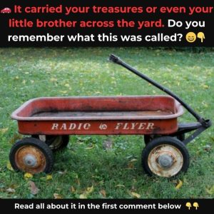 Do You Remember Having This? If You Do, You’re Among Those Who Grew Up With It—Discover What Made It So Special!