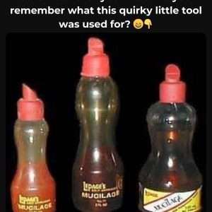 Can You Guess What This Was Used For? If You Can, You Probably Had Ink-Stained Fingers Too! Find Out Why This Little Bottle Left a Big Mark on History!