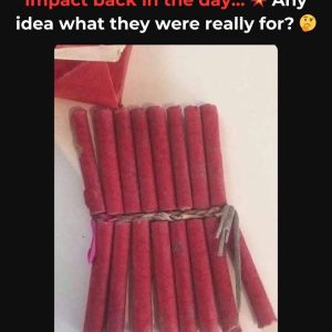 Do You Recall This Time-Honored Symbol? If It Resonates With You, Step into a World of Memories – Explore the Remarkable Tale It Tells!